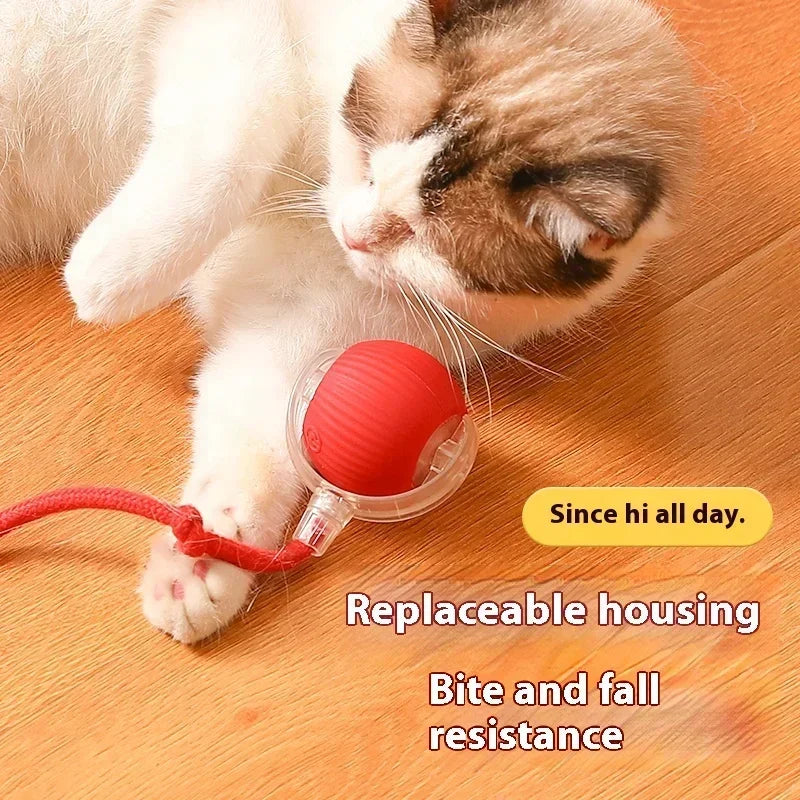 Smart Rolling Cat Ball-0