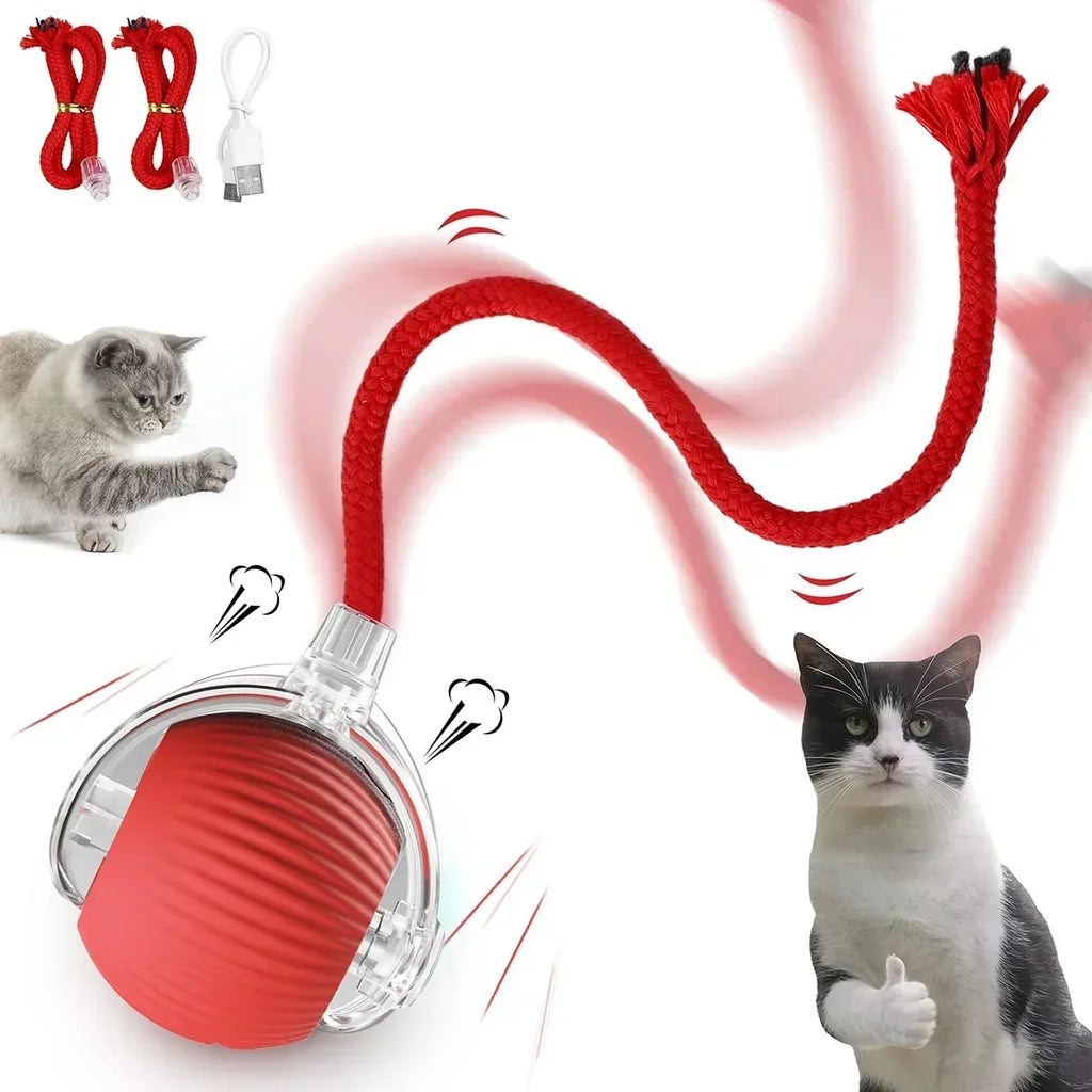 Smart Rolling Cat Ball-1