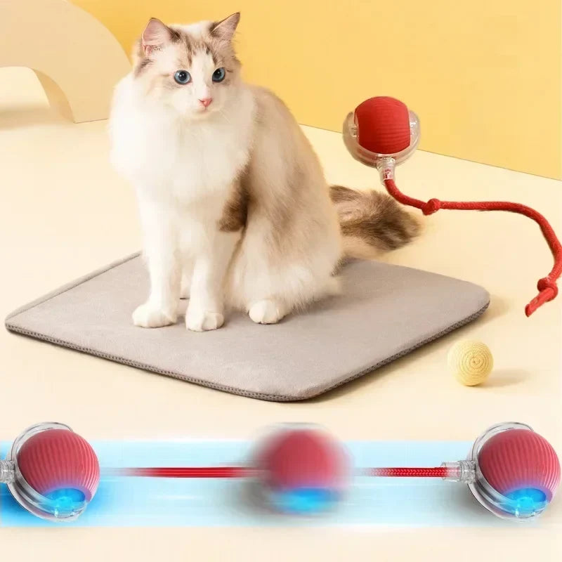 Smart Rolling Cat Ball-2