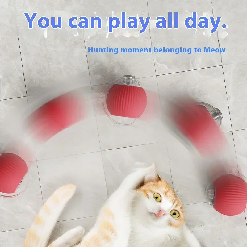 Smart Rolling Cat Ball-3