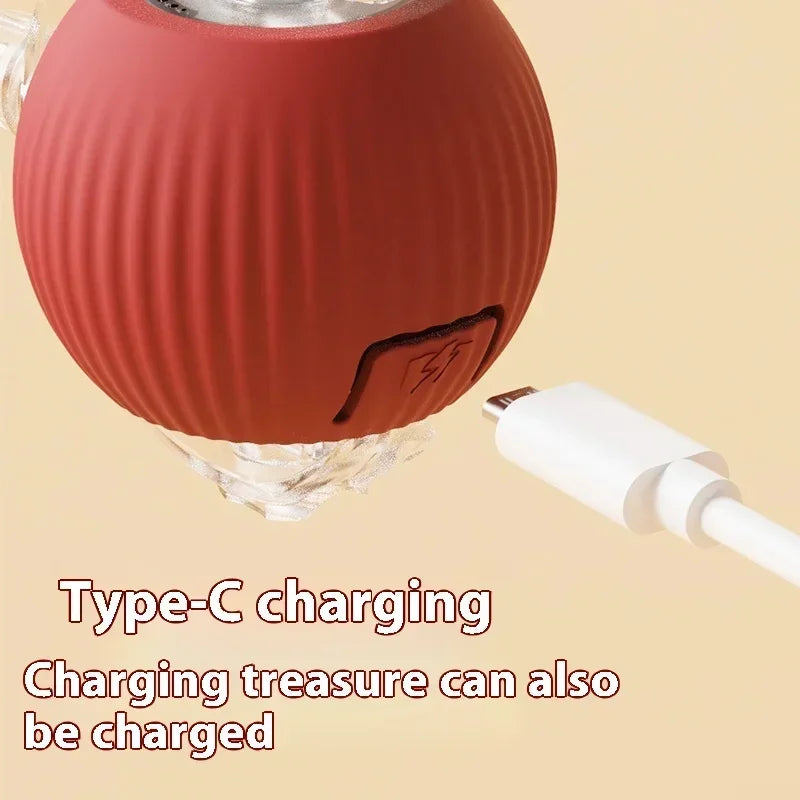 Smart Rolling Cat Ball-4